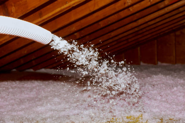 Best Spray Foam Insulation in Lagunitas Forest Knolls, CA