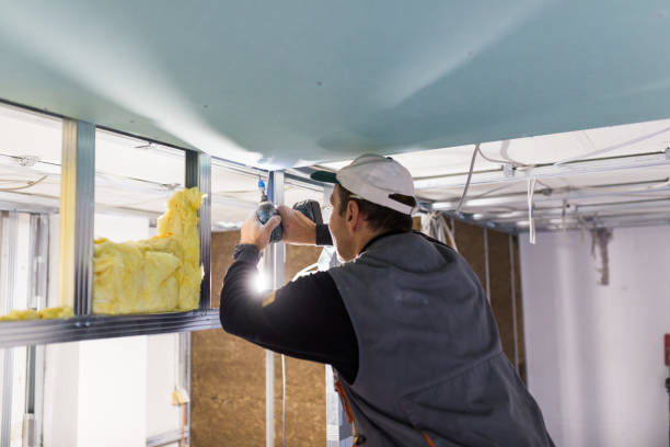 Best Fiberglass Insulation in Lagunitas Forest Knolls, CA