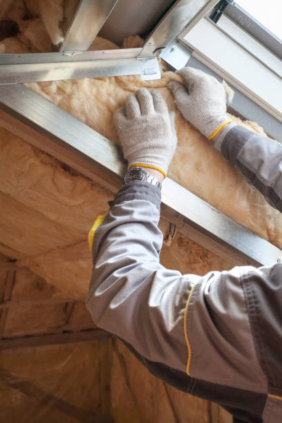 Best Specialized Insulation Services in Lagunitas Forest Knolls, CA