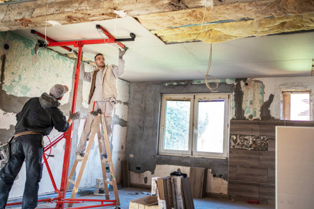 Best Insulation Maintenance and Repair in Lagunitas Forest Knolls, CA
