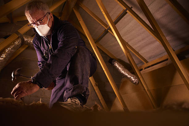 Best DIY Insulation Kits and Guidance in Lagunitas Forest Knolls, CA