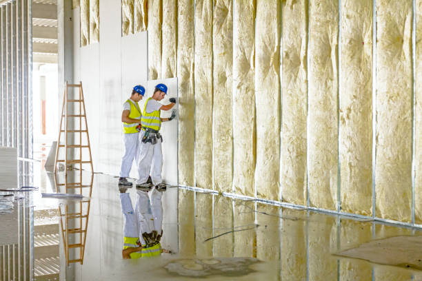 Best Geographic-Specific Insulation Services in Lagunitas Forest Knolls, CA